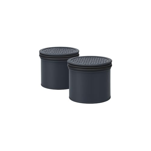 Carbon Water Filter Replacement Compatible with Lifestraw Go Series (2 Count)