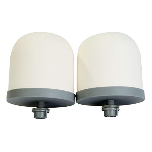 HUI NING Replacement Ceramic Dome Water Filter for Countertop (2 Count)