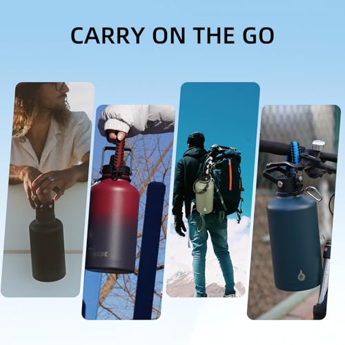 87oz Insulated Water Bottle with Straw Lid Stainless Steel Water Jug