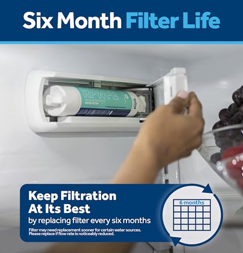 RPWFE Refrigerator Water Filter (2 Count)
