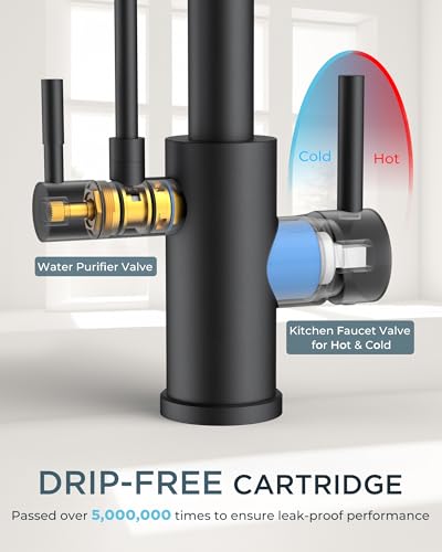 Black Kitchen Faucet with Purfied Water Filter