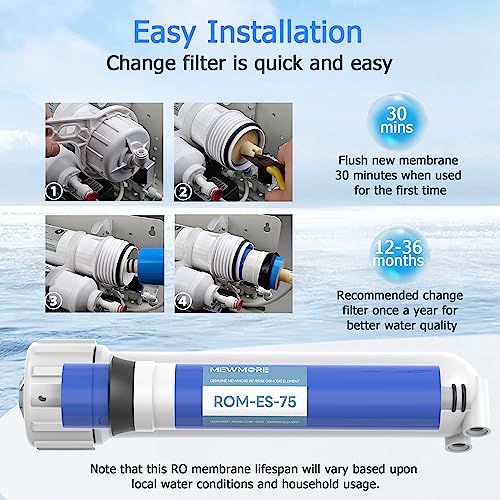 75 GPD RO Membrane Filter with Housing