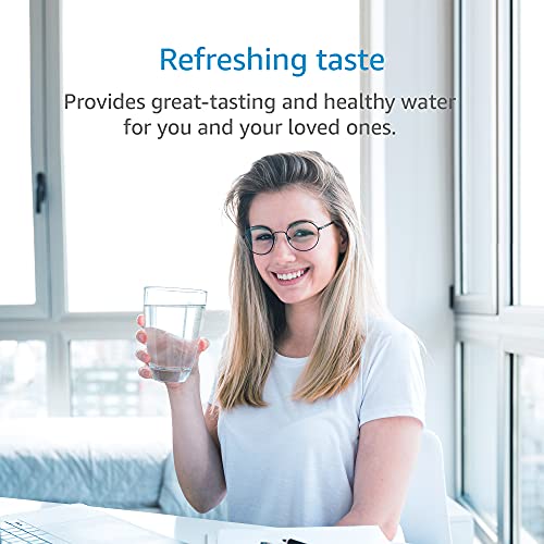1000R Water Filter Replacement for Culligan® 1000R Cartridge