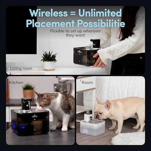 Replacement Filters for Cat Water Fountain