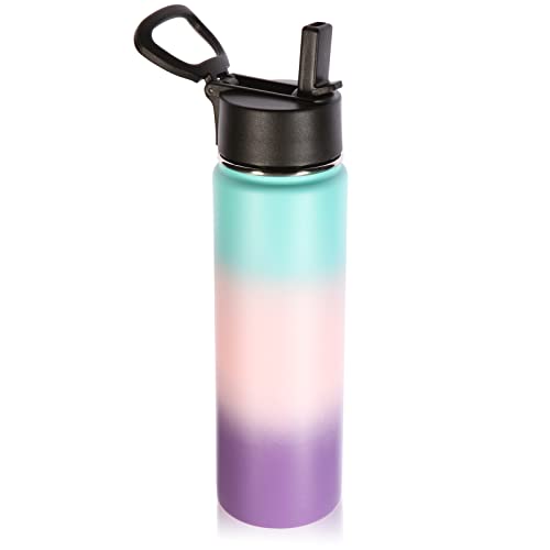 22 oz Insulated Water Bottles with Straw Lid
