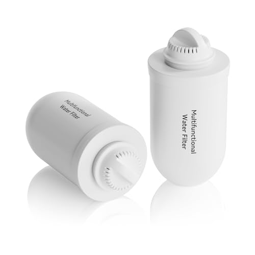 2 Pack K8001 Multifunctional Water Filter Elements (2 Count)