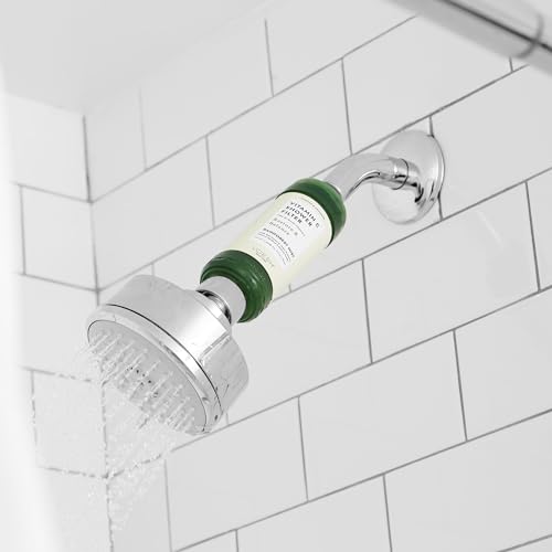 Vitamin C Shower Filter
