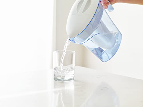 Official Replacement Filter (12 Count)