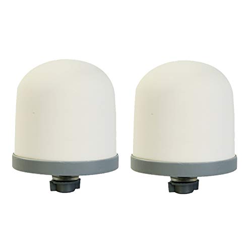 HUI NING Replacement Ceramic Dome Water Filter for Countertop (2 Count)