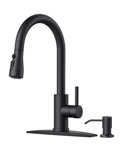 Black Kitchen Faucet