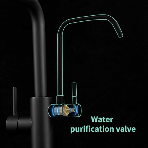 Black Kitchen Faucets with Water Filter and Pull Down Sprayer
