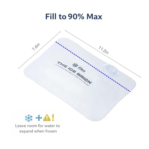 6 Pack Ice Brick (6 Count)
