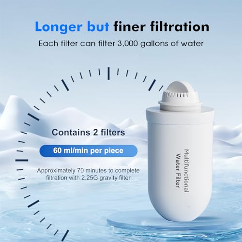 2 Pack K8001 Multifunctional Water Filter Elements (2 Count)