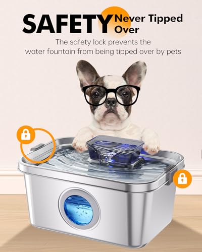 Dog Water Fountain