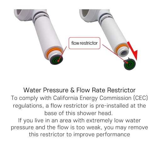 POSEION BT100 SW Filtered Shower Head