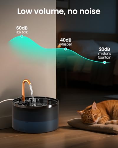 Cat Water Fountain with 6 (74 Fl Oz)