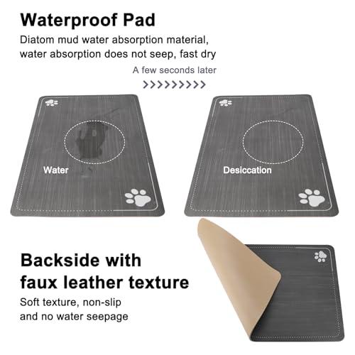 7L Elevated Dog Water Dispenser