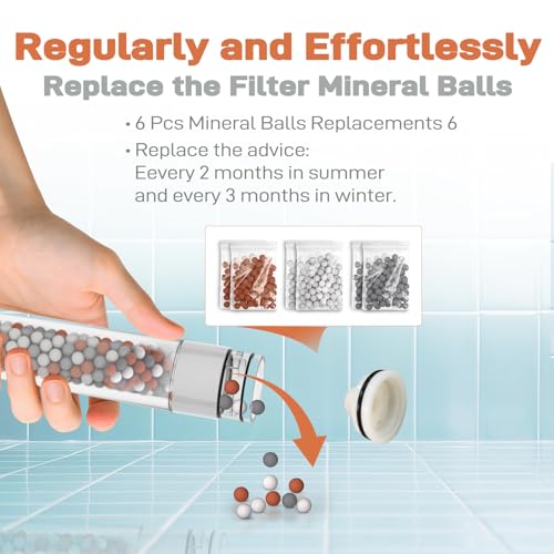 Filtered Handheld Showerhead with 30 (6 Count)