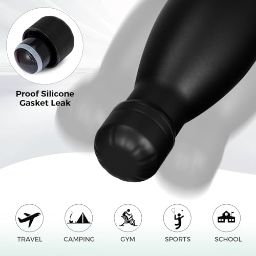 17oz Insulated Stainless Steel Water Bottle