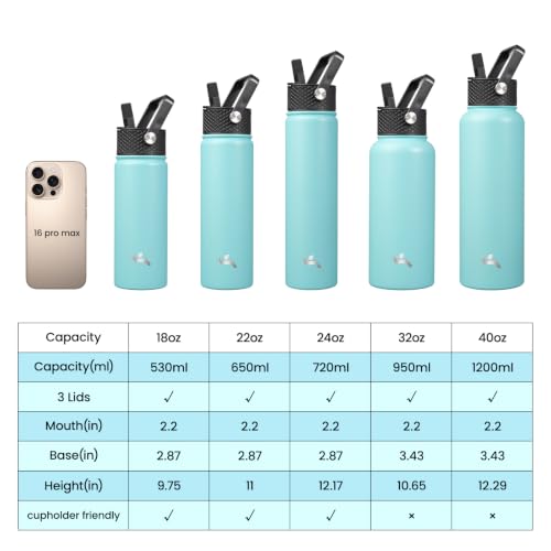32 oz Insulated Stainless Steel Water Bottle with Straw Lid