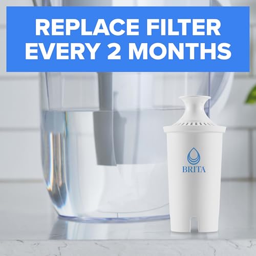 Standard Water Filter for Pitchers and Dispensers (2 Count)