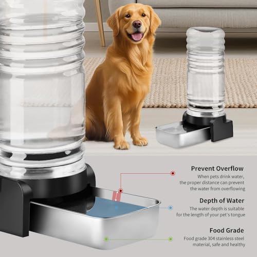 2.3 Gallon Dog Water Dispenser
