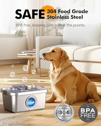 Dog Water Fountain