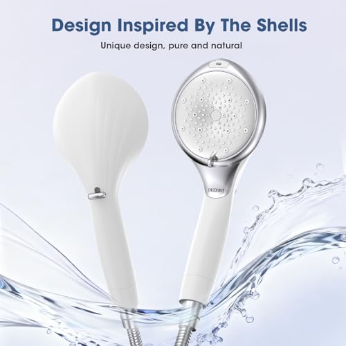Filtered Shower Head with Handheld