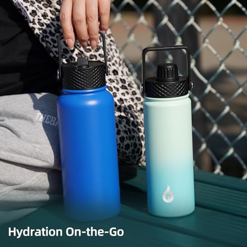 27oz Insulated Water Bottle with Straw Lid