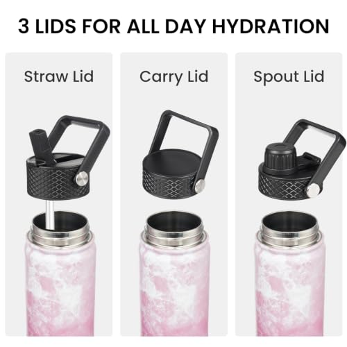 24 oz Insulated Stainless Steel Water Bottle with Straw Lid