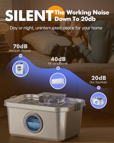 Dog Water Fountain
