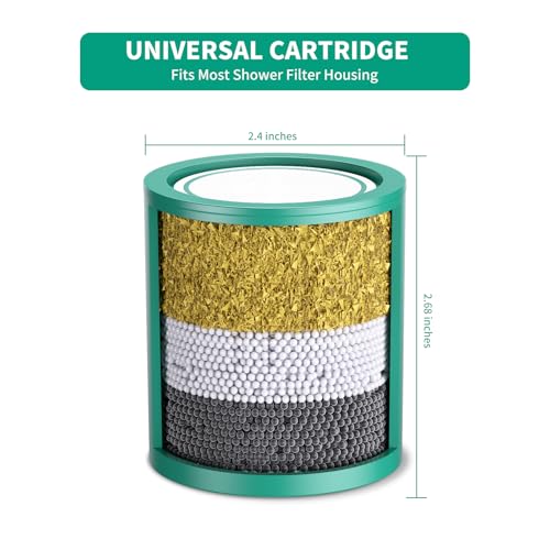 R7HD Universal Shower Filter Replacement Cartridge (2 Count)