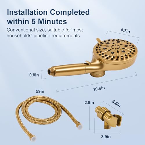 Filtered Shower Head with Handheld