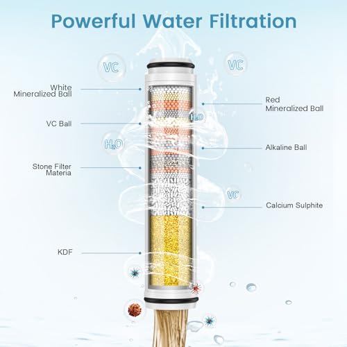 Shower Filter for Handheld Shower Head (6 Count)