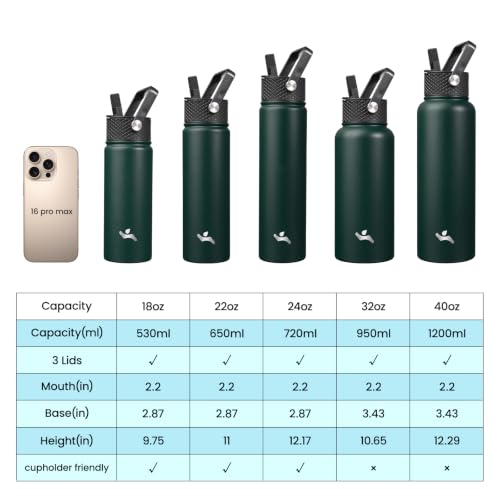 24 oz Insulated Stainless Steel Water Bottle with Straw Lid