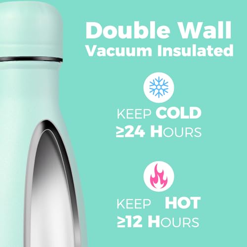 17oz Insulated Stainless Steel Water Bottle