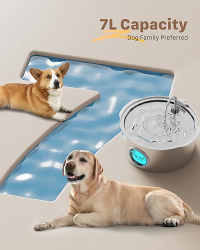 Dog Water Fountain for Large Dogs
