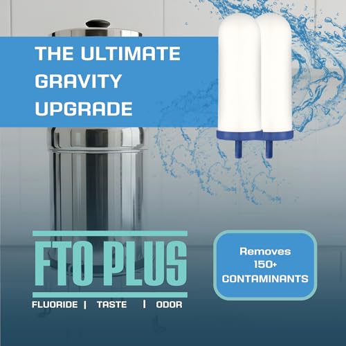 FTO Plus Ceramic Filter (2 Count)
