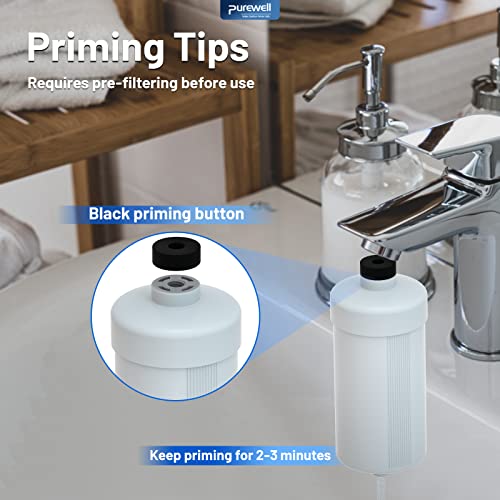 PF 2 Fluoride Purification Elements (2 Count)
