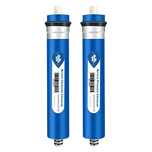 100 GPD Reverse Osmosis Membrane (2 Count)