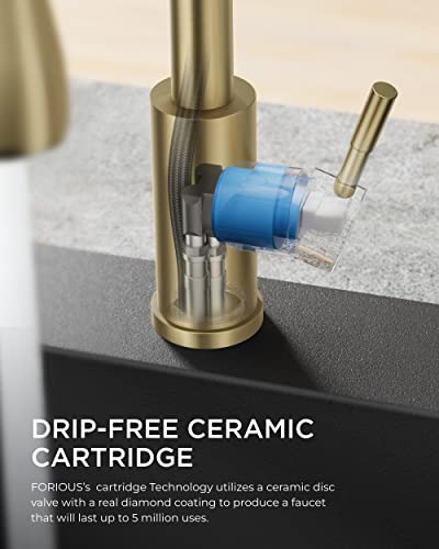 Kitchen Faucet with Pull Down Sprayer