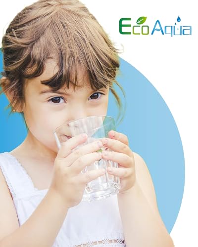5231JA2002A Refrigerator Water Filter