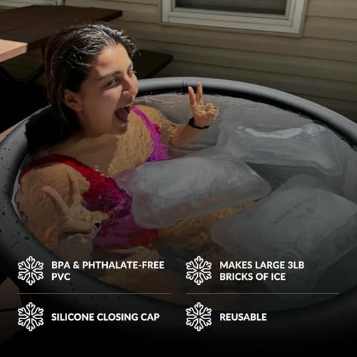 6 Pack Ice Brick (6 Count)
