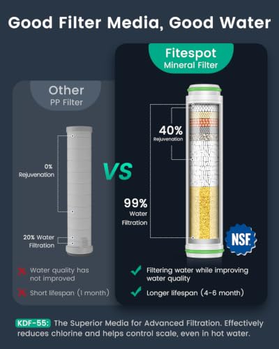 Filtered Shower Head with Handheld 2PCS Filters ShowerHead