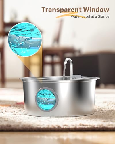 Pet Water Fountain for Large Dogs