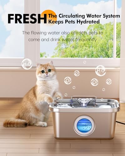 Dog Water Fountain