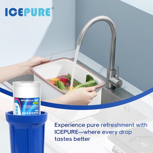 5 Micron 10" x 4.5" Whole House Sediment and Iron Manganese Resin Water Filter Compatible with GE FXHTC (2 Count)