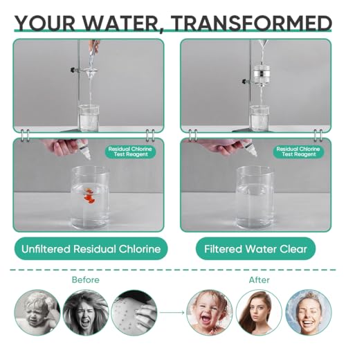 HD HEAVY DUTY High Output Shower Filter 2 Pack (2 Count)