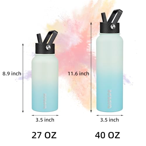27oz Insulated Water Bottle with Straw Lid