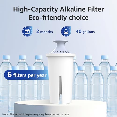 Alkaline Water Filter Replacement for Brita® Filter (6 Count)